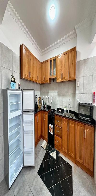 IPH: A Fully-Furnished Apartment for Rent - Upanga.