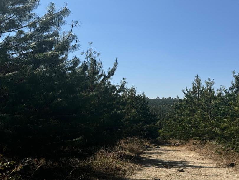 Intercity Property Hub;A 187 Acres for Sale-1