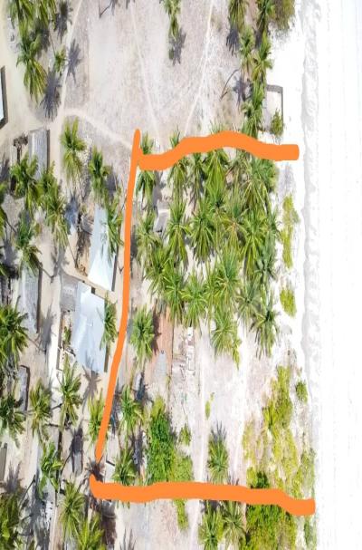 IPH: A 3.5-Acre Beach Plot for Sale, Mafia Island.