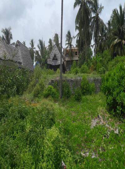 IPH: A 2000 SQM Beach Plot for Sale, Paje, Zanzibar.