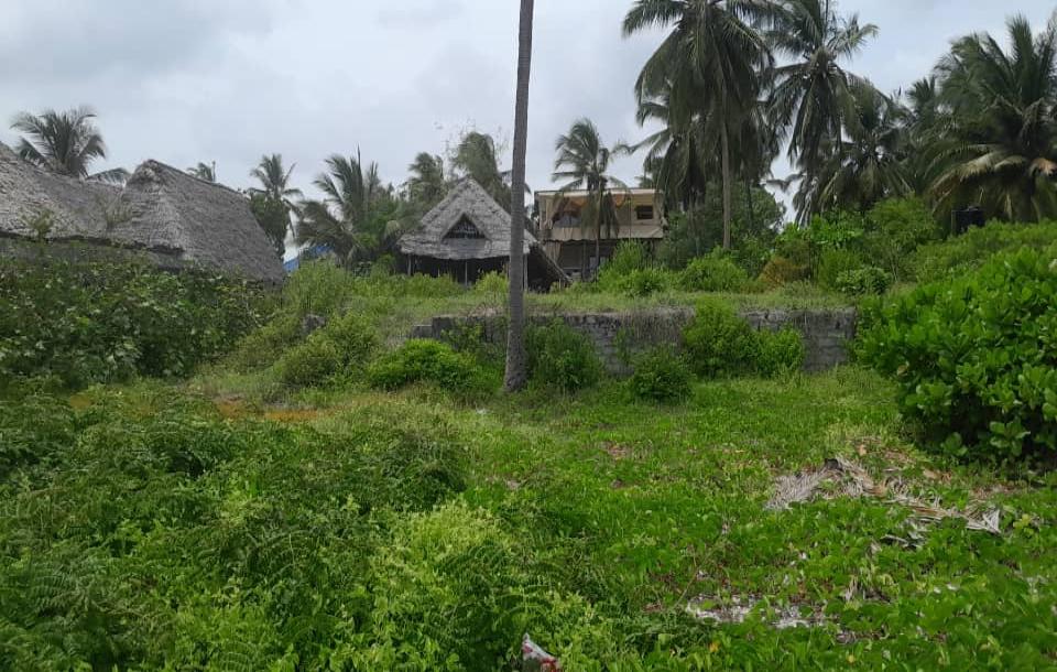 IPH: A 2000 SQM Beach Plot for Sale, Paje, Zanzibar.-1