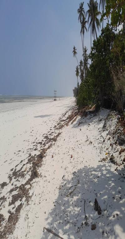 IPH: A 2000 SQM Beach Plot for Sale, Paje, Zanzibar.