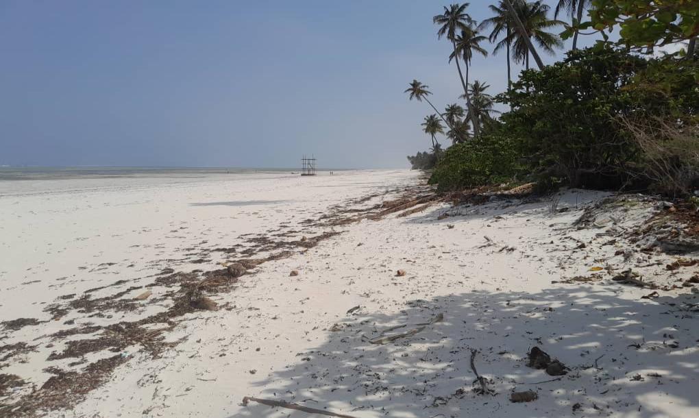 IPH: A 2000 SQM Beach Plot for Sale, Paje, Zanzibar.-2