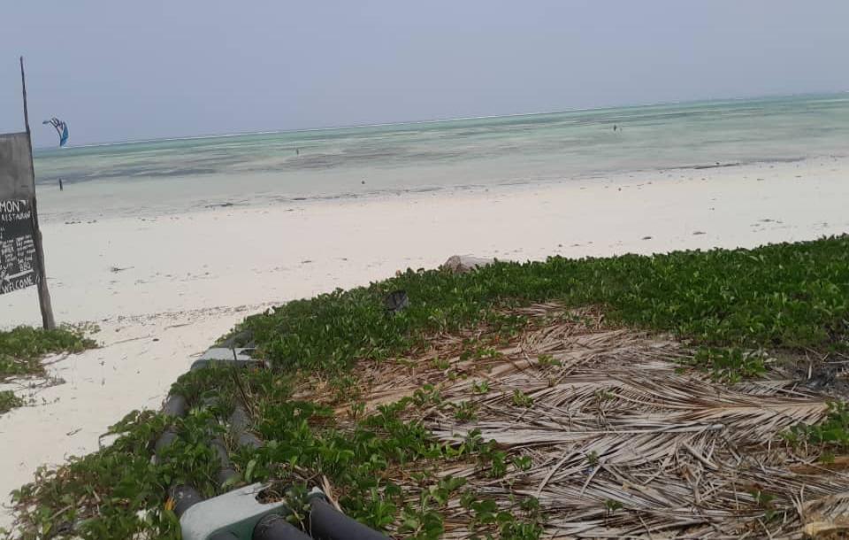 IPH: A 2000 SQM Beach Plot for Sale, Paje, Zanzibar.-3