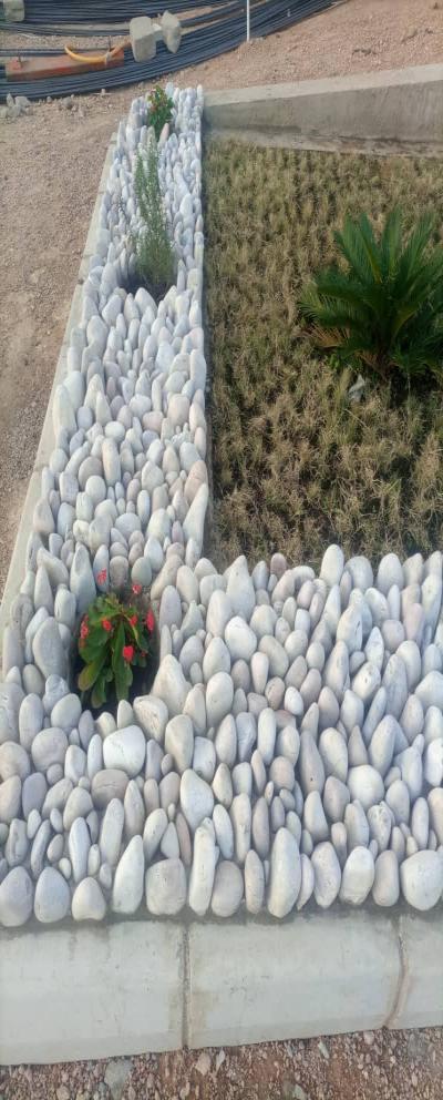 Sheby Garden: Ilemela, Mwanza