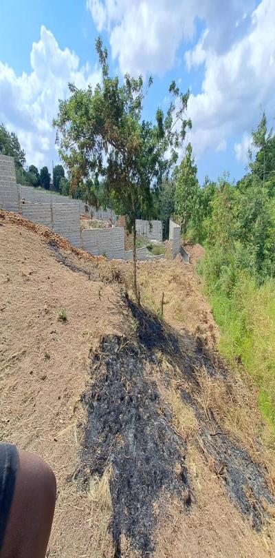 Intercity Property Hub, Plot for Sale