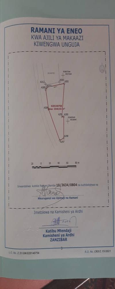 Intercity Property Hub: A Beach Plot for Sale ~ Kiwengwa, Zanzibar.