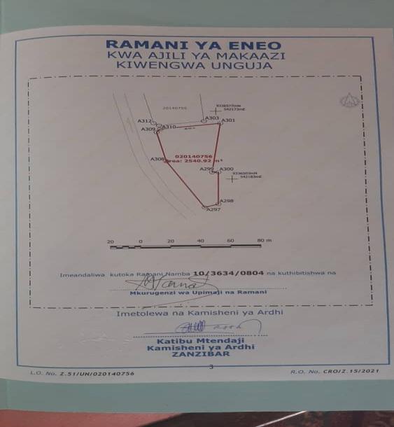 Intercity Property Hub: A Beach Plot for Sale ~ Kiwengwa, Zanzibar.-4