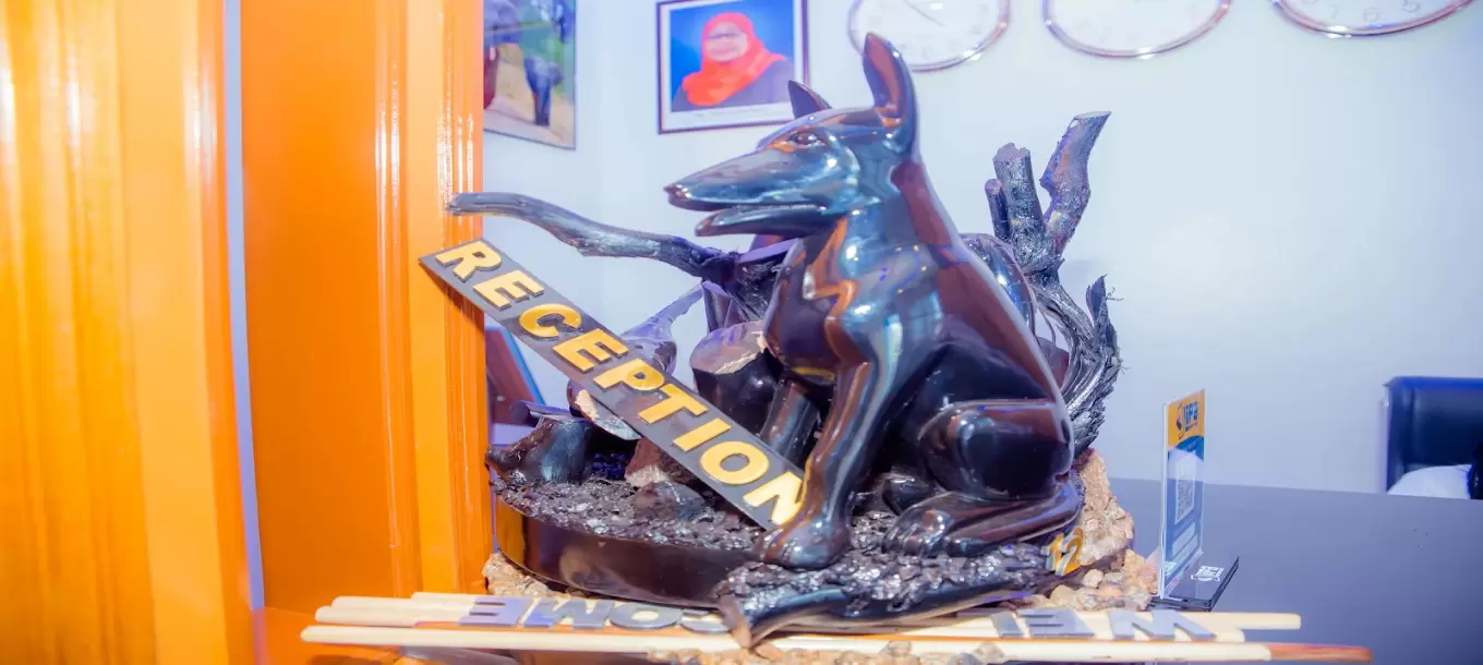 Gold Stone Hotel Geita-9