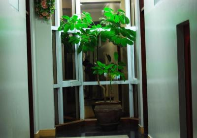 Mc-Ellys Hotel, Arusha.