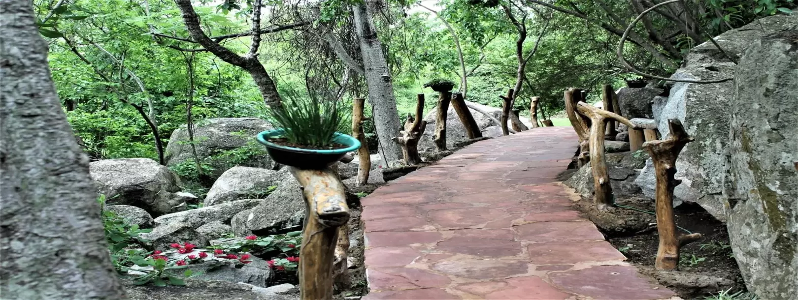 WagHill Lodge & Spa, Mwanza.-5