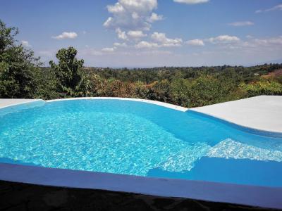 Pink Flamingo Boutique Hotel, Moshi.