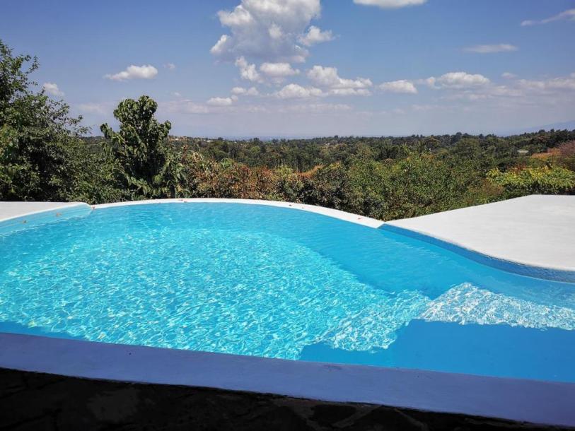 Pink Flamingo Boutique Hotel, Moshi.-4