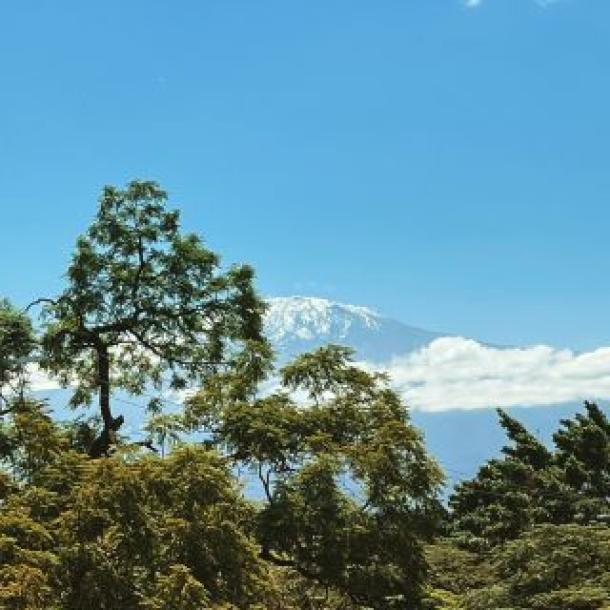 Bristol Cottages Kilimanjaro, Moshi.-12