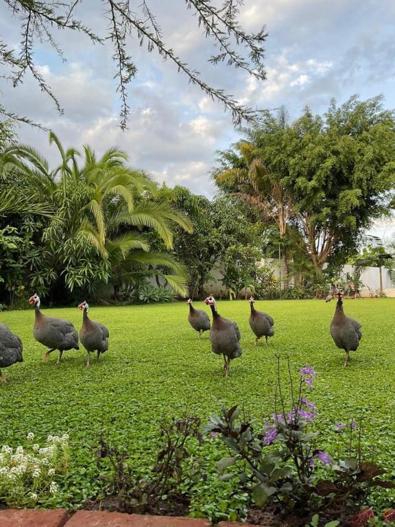 Amala Villas, Arusha