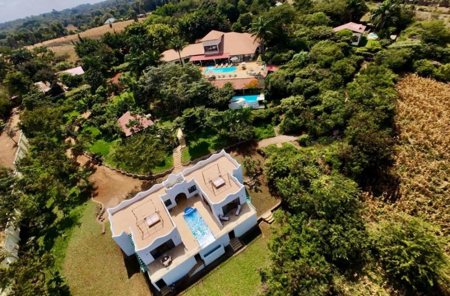 Pink Flamingo Boutique Hotel, Moshi.-1