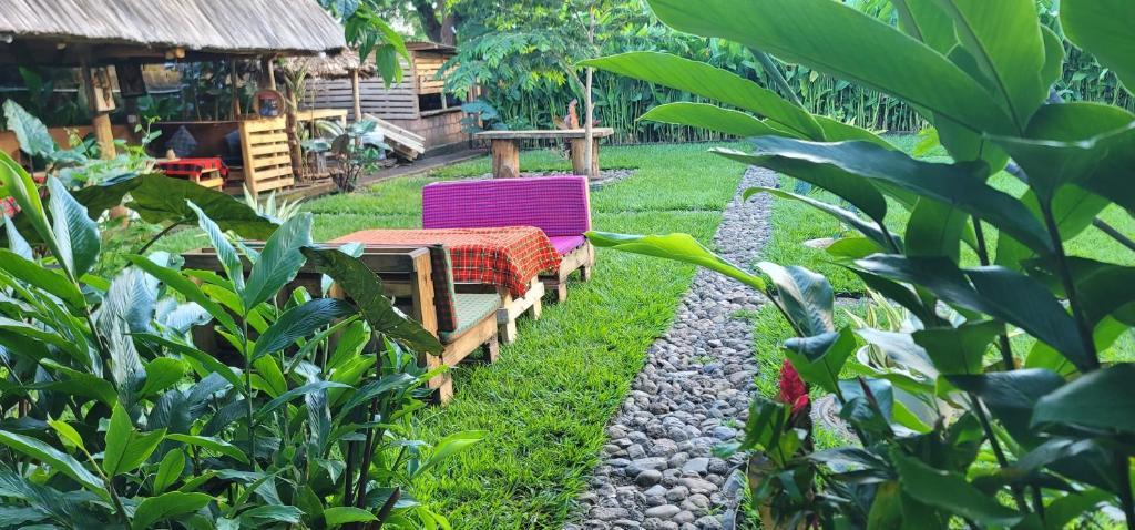 Kidep Village Homestay, Moshi.