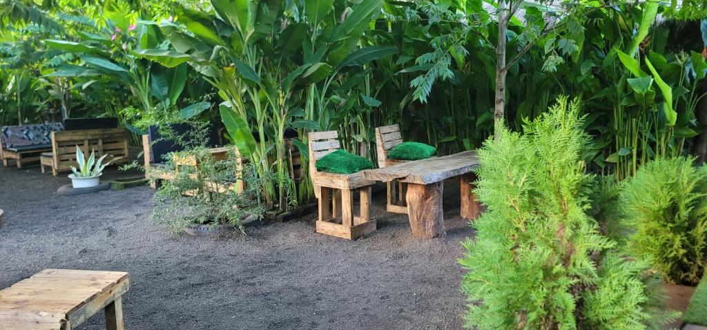 Kidep Village Homestay, Moshi.