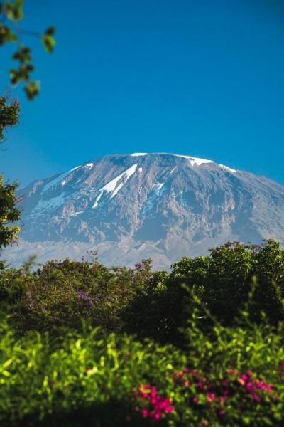 Mkoani Homestay, Moshi.