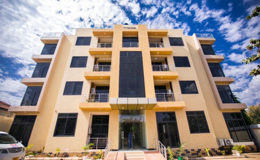 Snow View Rau Apartments, Moshi.-2