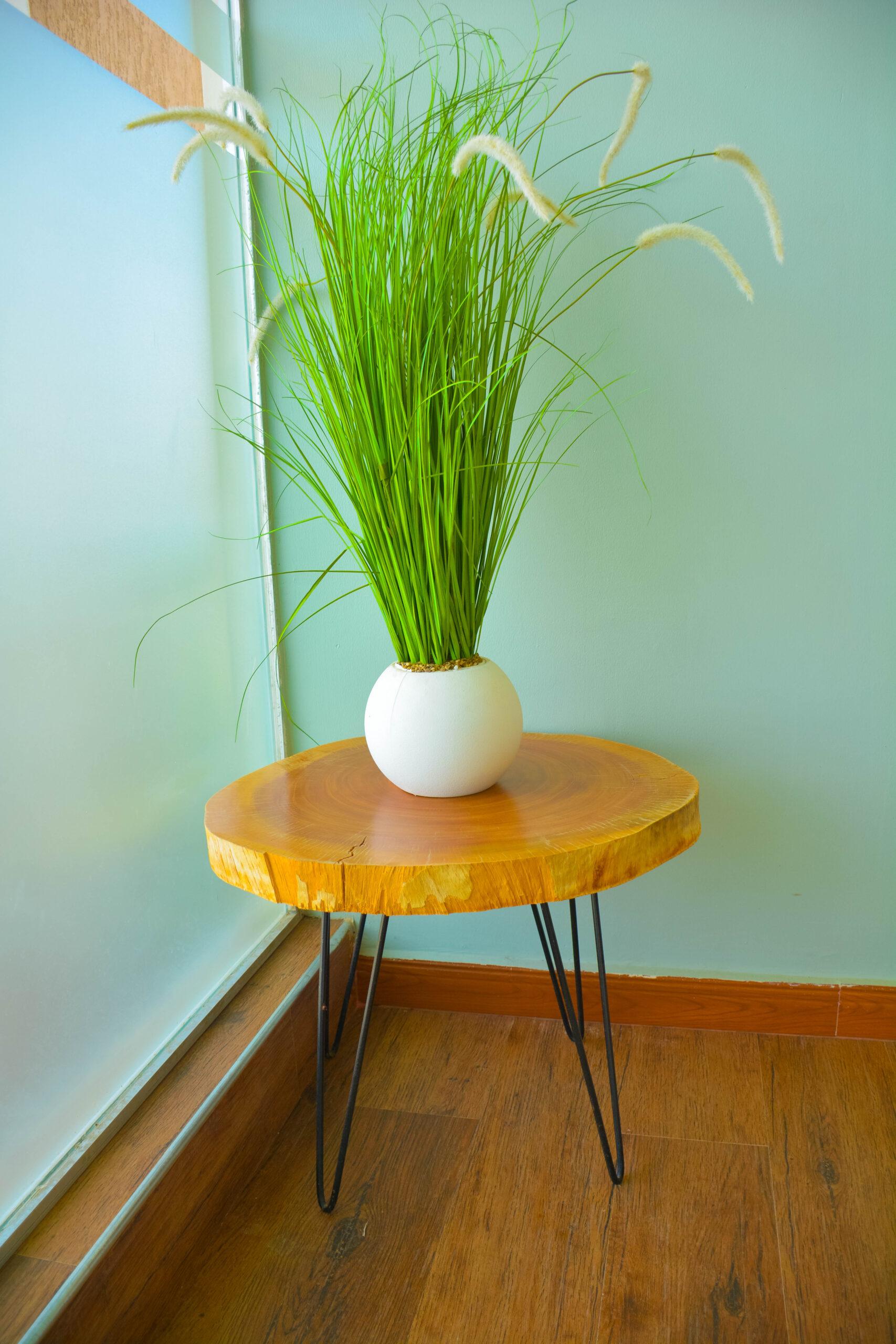 JIMMY A’s Lux Hotel, Dodoma