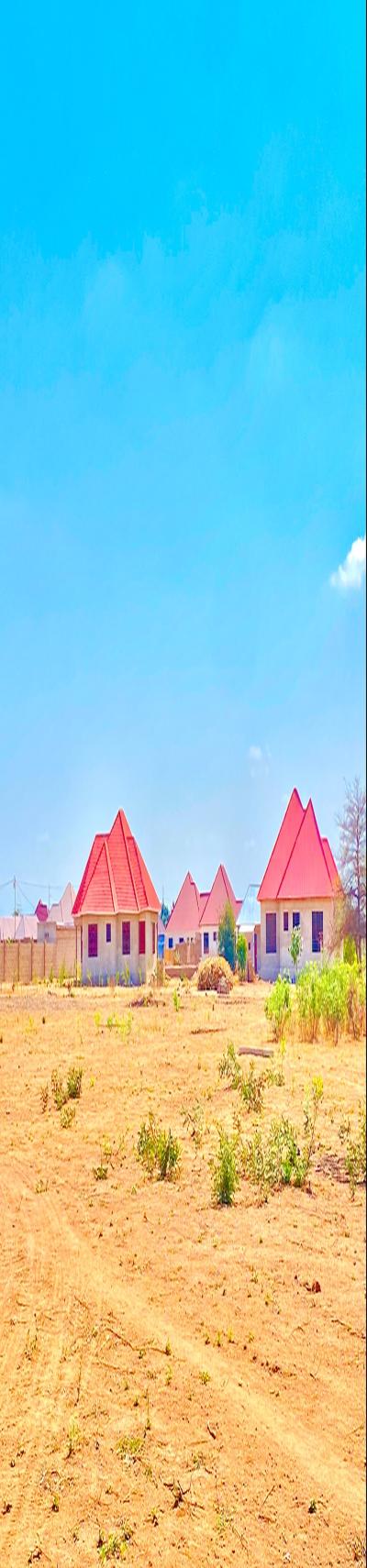 Viwanja vinauzwa MPAMAA Dodoma