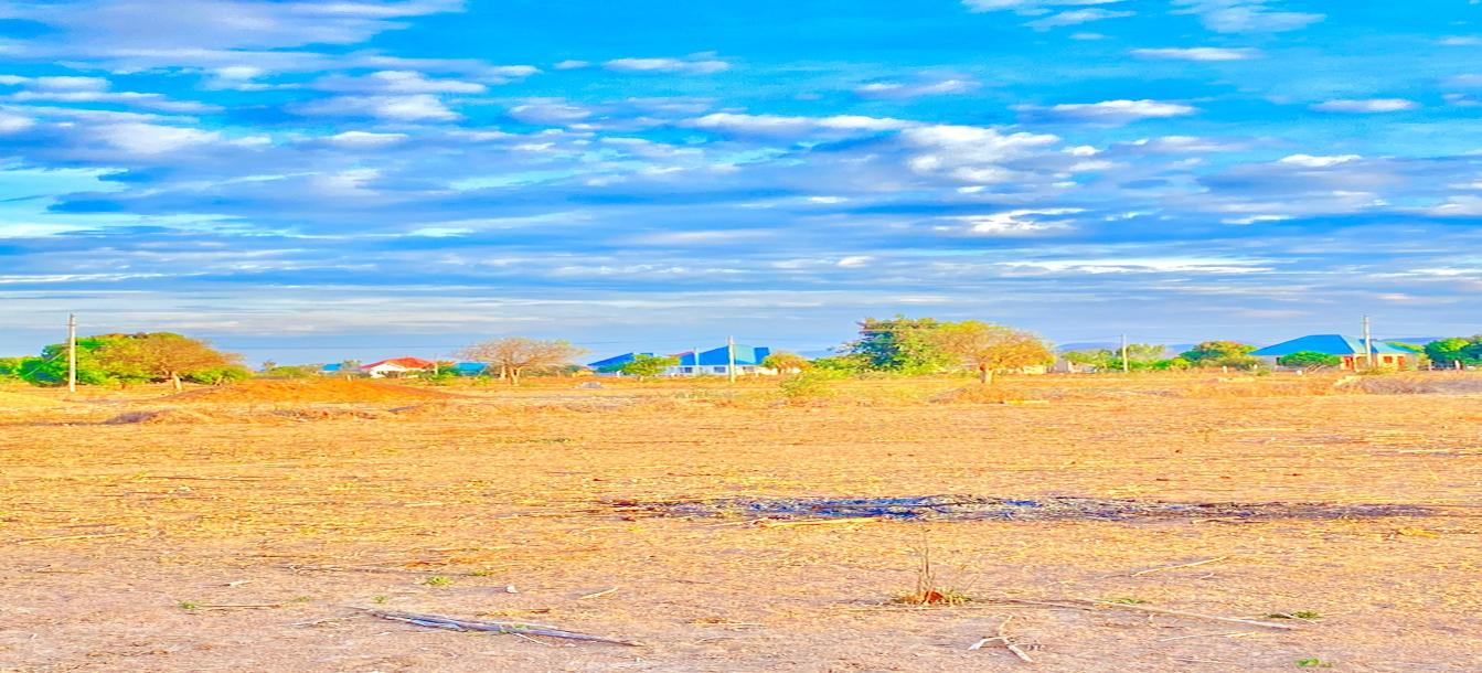 KIwanja Kinauzwa Kinatazamana na Lami, Mahali Mtumba Dodoma-3