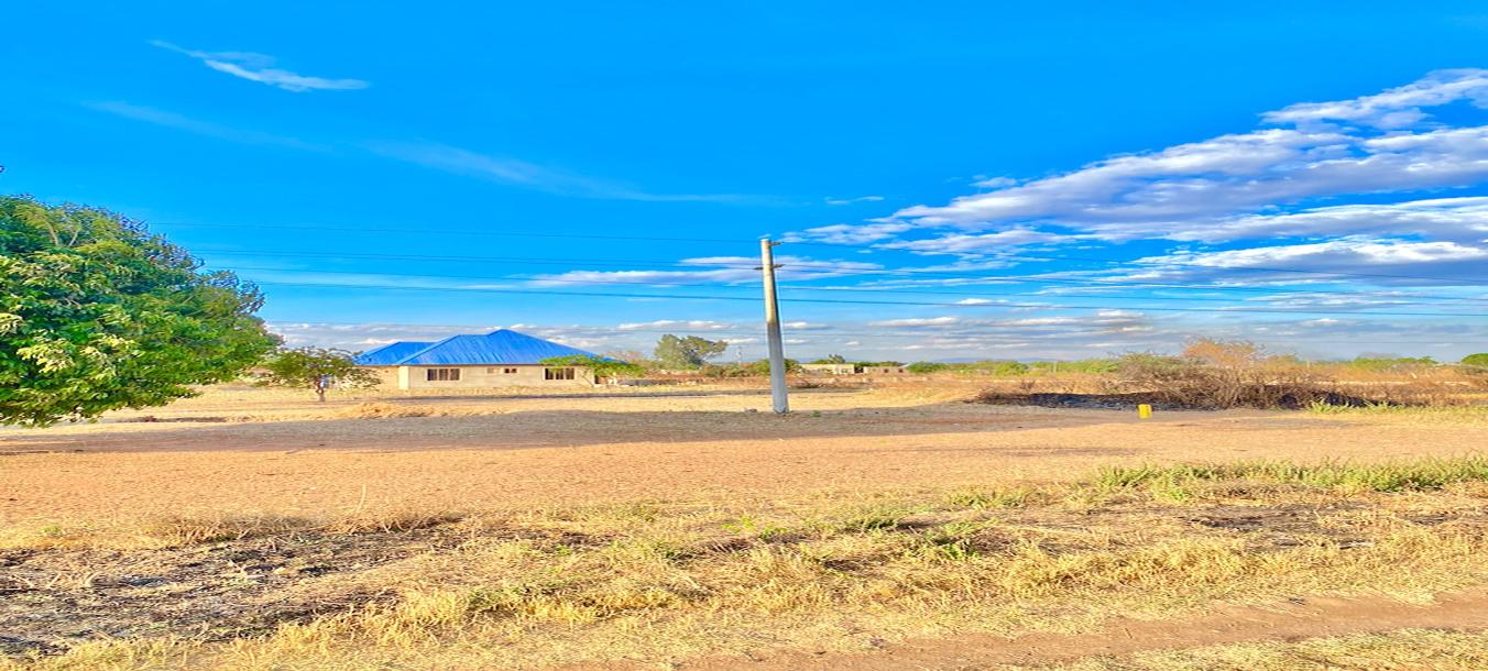 Kiwanja Kinauzwa KInatazamana na Barabara ya Lami, Mahali Mtumba, Dodoma-2