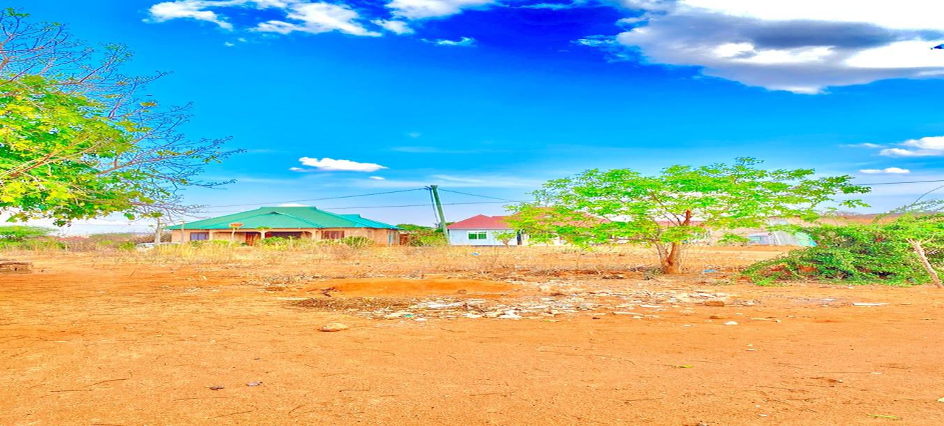 Iiwanja kizuri kinauzwa barabara ya UDOM/Hospital Benjamin Mkapa-5