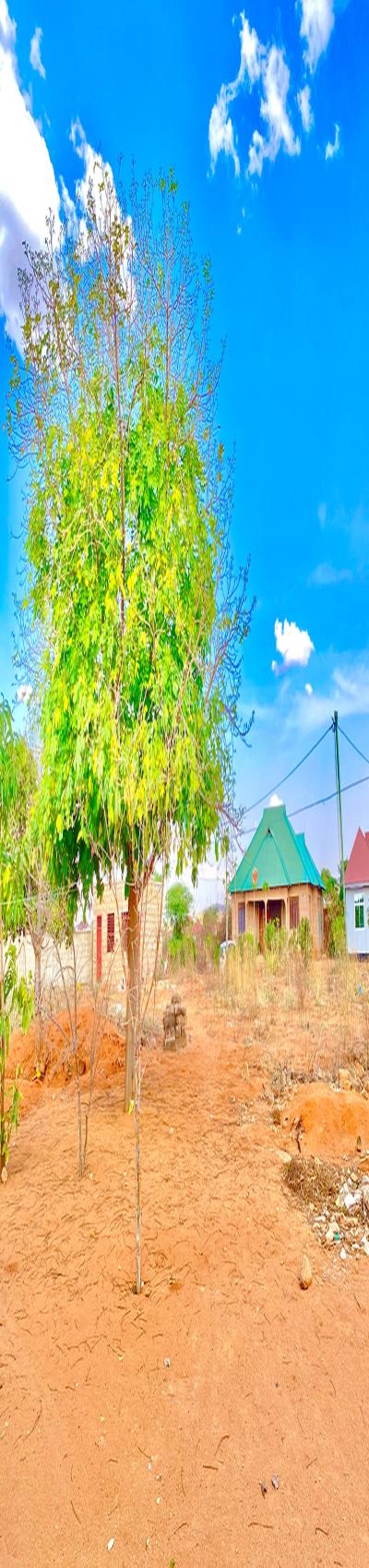 Iiwanja kizuri kinauzwa barabara ya UDOM/Hospital Benjamin Mkapa