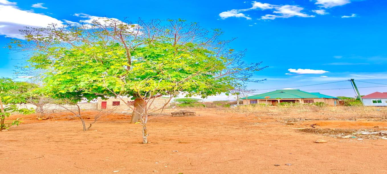 Iiwanja kizuri kinauzwa barabara ya UDOM/Hospital Benjamin Mkapa-4