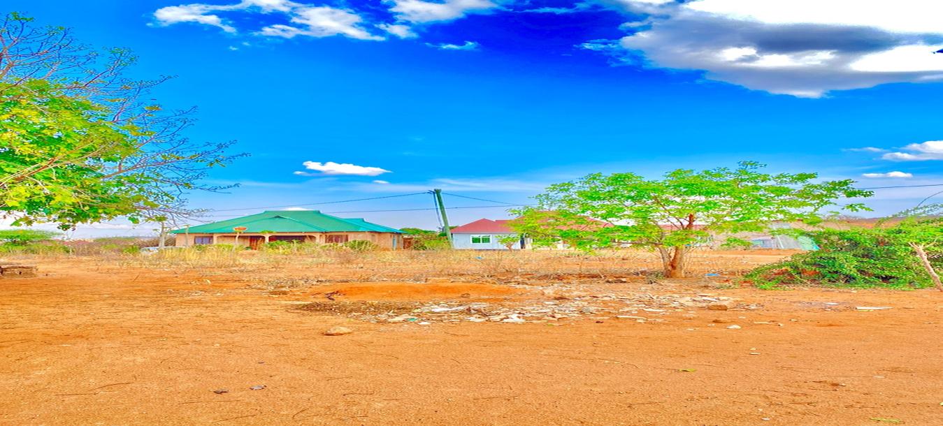 Iiwanja kizuri kinauzwa barabara ya UDOM/Hospital Benjamin Mkapa-3