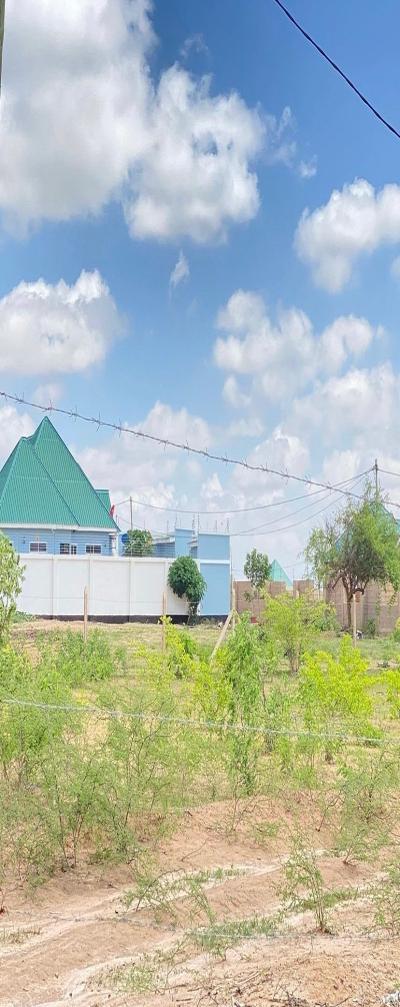 Viwanja Vinauzwa, Ihumwa Dodoma