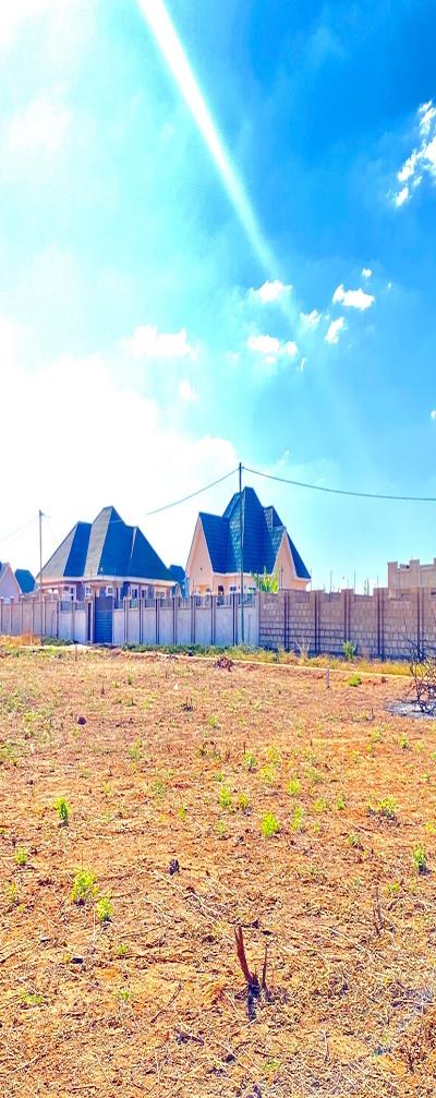 Viwanja Vinauzwa, Ihumwa Dodoma