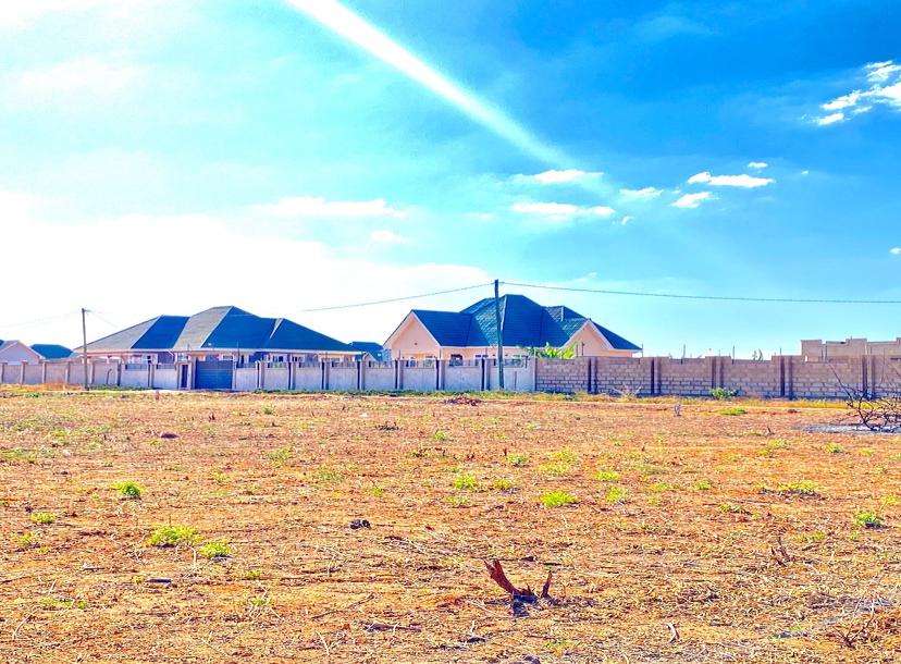 Viwanja Vinauzwa, Ihumwa Dodoma-10