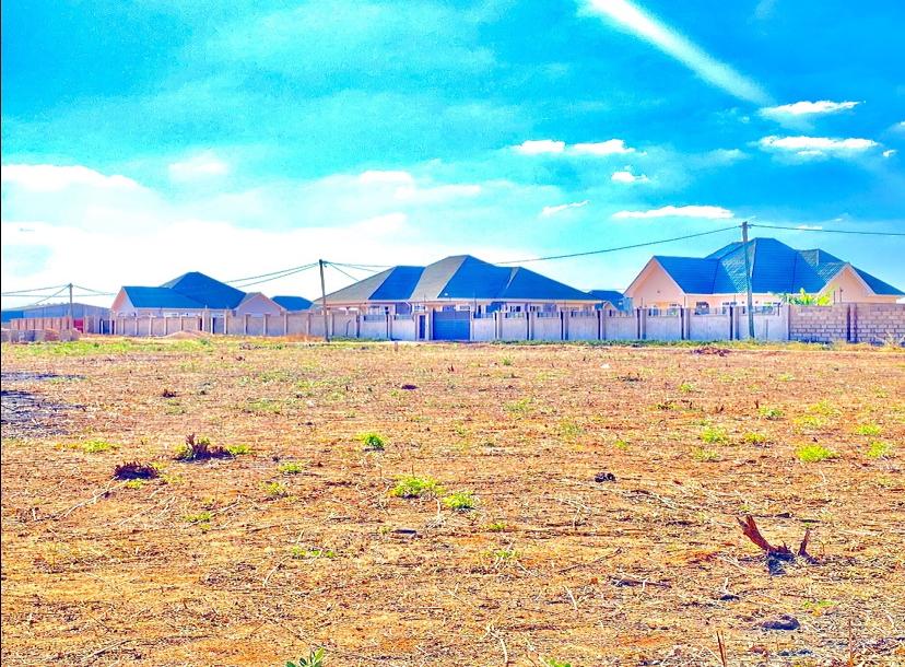 Viwanja Vinauzwa, Ihumwa Dodoma-7