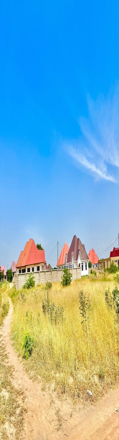 IPH: VIWANJA VIZURI SANA VINAUZWA MIYUJI-DODOMA.