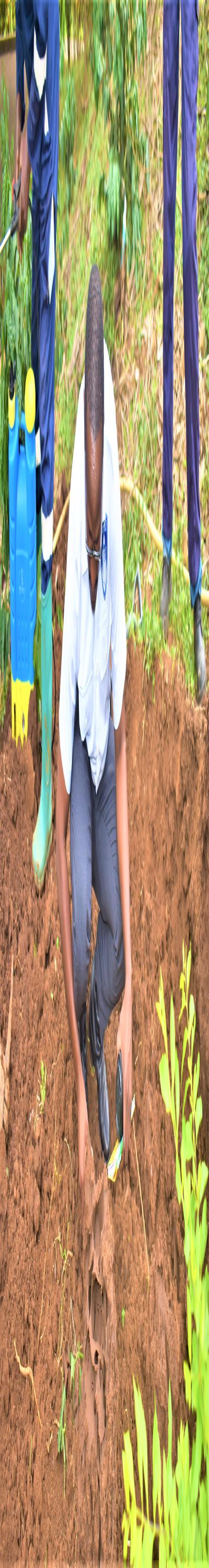 Pest Consult: Fumigation and Pest Control Services