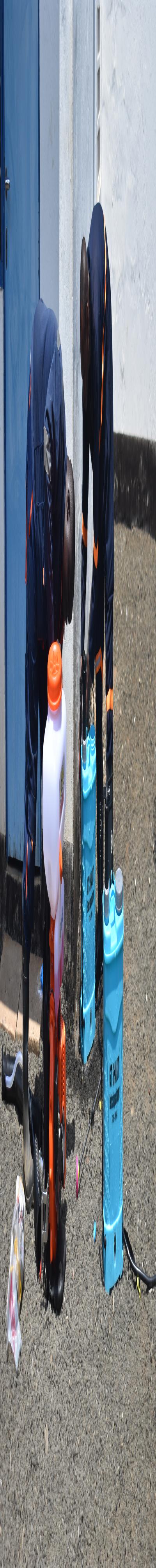 Pest Consult: Fumigation and Pest Control Services