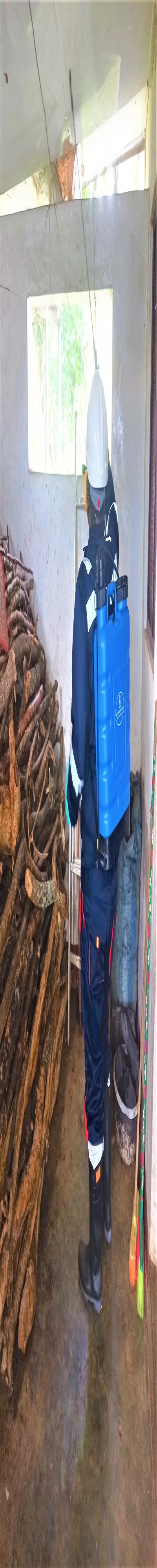 Pest Consult: Fumigation and Pest Control Services