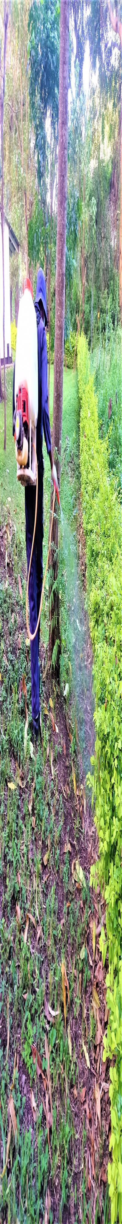 Pest Consult: Fumigation and Pest Control Services