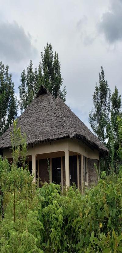 Intercity Property Hub: A 13-Acre-Tourism Property for Sale.