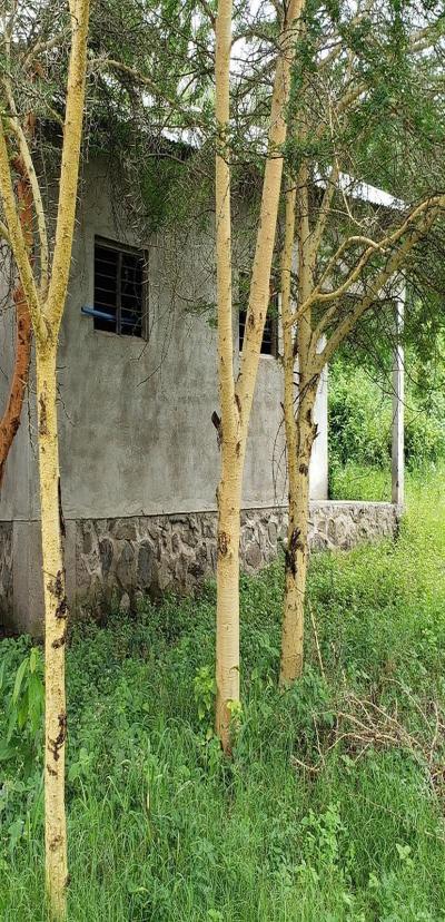 Intercity Property Hub: A 13-Acre-Tourism Property for Sale.