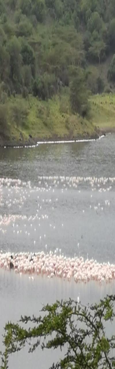 Intercity Property Hub: A 13-Acre-Tourism Property for Sale.