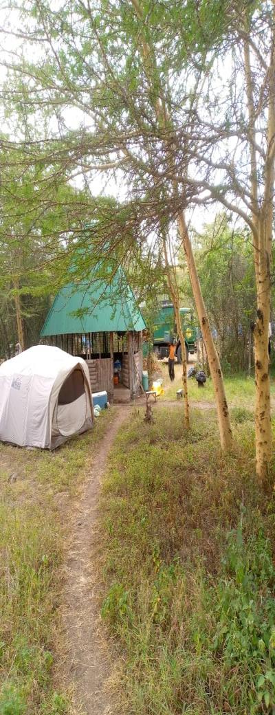 Intercity Property Hub: A 13-Acre-Tourism Property for Sale.