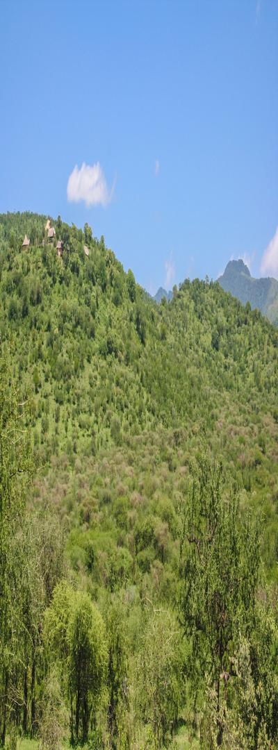 IPH: Morona View Lodge