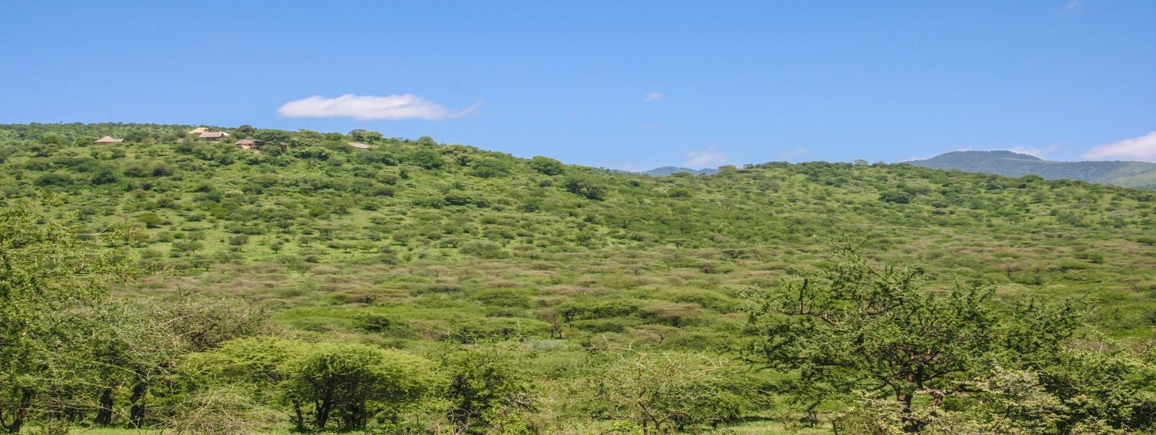 IPH: Morona View Lodge-1