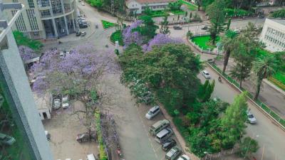 Palace Hotel Arusha.