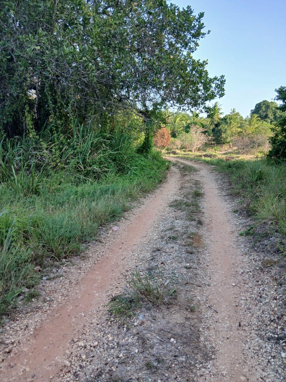 A Prime 70-Acre Plot for Sale at Mkuranga.
