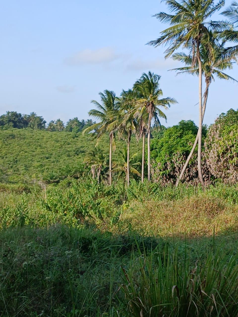 A Prime 70-Acre Plot for Sale at Mkuranga.